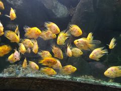 -苏州海洋馆