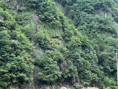 -安吉龙王山峡谷漂流
