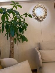 -茜尔维亚修身连锁(八佰伴店)