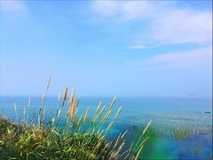 -枸杞岛