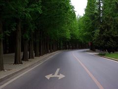-大连理工大学(凌水校区)