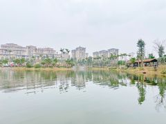 -枫香湖儿童公园