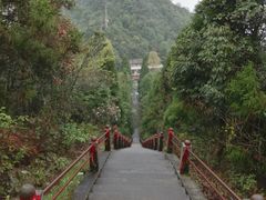 -江西阳明山国家森林公园