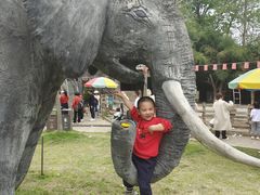 -都江堰玫瑰花溪谷