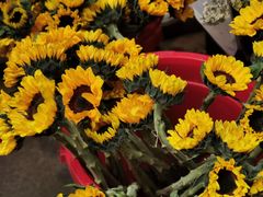 -循礼门鲜花花市(武汉循礼门店)