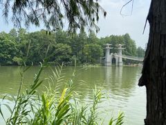 -东湖落雁景区