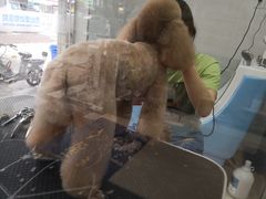 -芭比堂动物医院广州顽皮分院