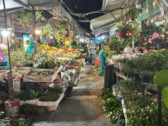 -曲阳花鸟市场(曲阳路店)
