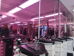 -P.STYLE 派斯造型