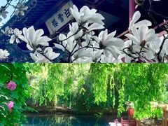 -千佛山风景名胜区