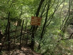 -少华山国家森林公园