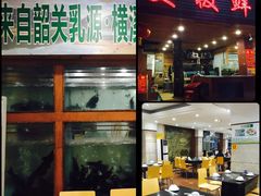 -美极鲜食坊(宝安南路店)