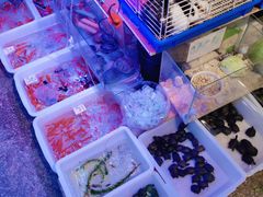 -双季花艺园艺市场(浦东店)