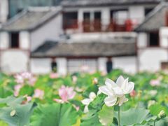 -忆咖啡观景餐厅(桂林象山公园店)