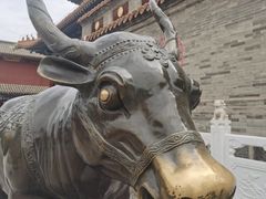-大召寺明清一条街