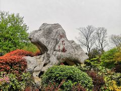 -桃花岛景观公园