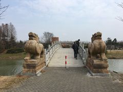 景点-上海海湾国家森林公园