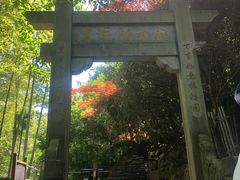 -丹山赤水风景名胜区