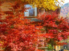 -九如山休闲旅游度假区