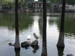 -东莞市可园博物馆