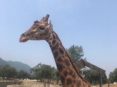 -西安秦岭野生动物园