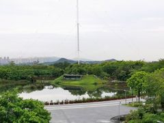 -福田红树林生态公园