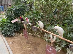 -南宫五洲植物乐园