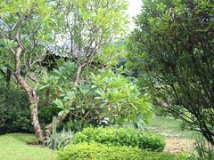 -云溪植物园