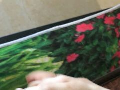 -萌喵宠狗爱心宠咖