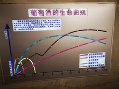 -青岛葡萄酒博物馆