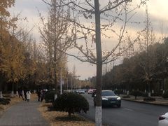 -浙江农林大学(东湖校区)
