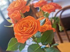 -Laures·月桂西班牙碳烤餐厅(十尚坊店)