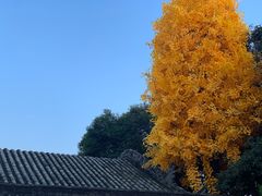 -西安市广仁寺