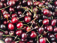 -红星农博物流中心