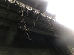 -韩湘水博园