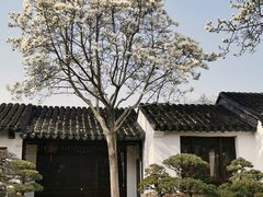 -留园