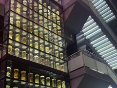 -广东中医药博物馆