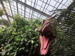 -呀路古热带植物园