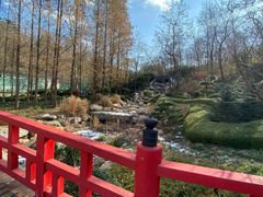 -大连植物园
