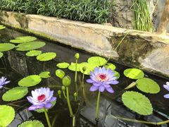 -国家植物园南园