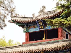 -洛阳白马寺