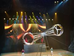 -重庆国际马戏城