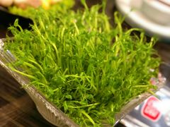 -东椰·海南椰子鸡火锅(朝阳门店)