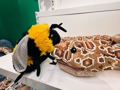 -宜家家居(四元桥商场店)