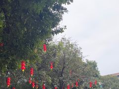 -天河儿童公园