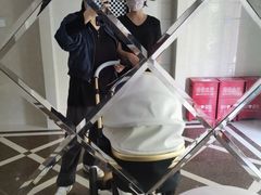 -爱月宝月嫂·育儿嫂