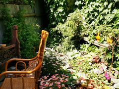 -斯多格书乡(北京大学畅春园店)