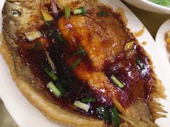 -鸿达渔港