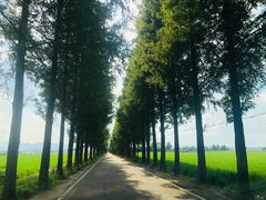 -抚州汤溪温泉