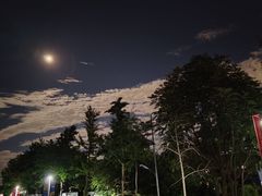 -北京临空智选假日酒店